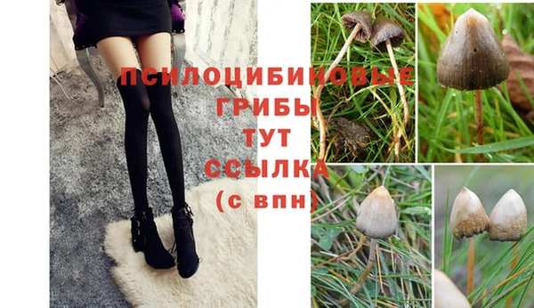 прущий лед Богородск
