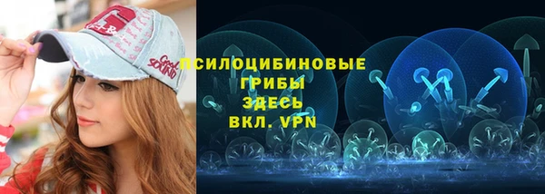 гидропоника Богданович