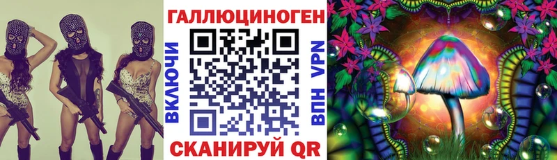 Купить закладки  Гагарин  Псилоцибиновые грибы Magic Shrooms 